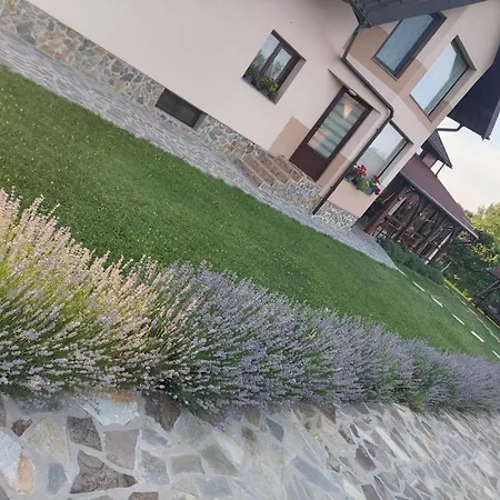 Casa Tomescu Lantställe Curtea de Argeş