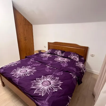 Lantställe Casa Tomescu Curtea de Argeş